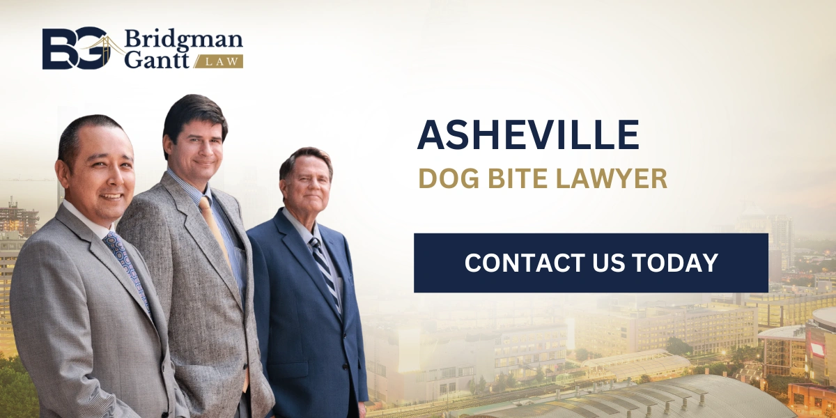 Asheville Dog Bite Lawyer